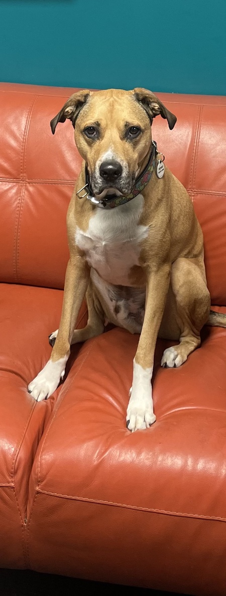 Denny