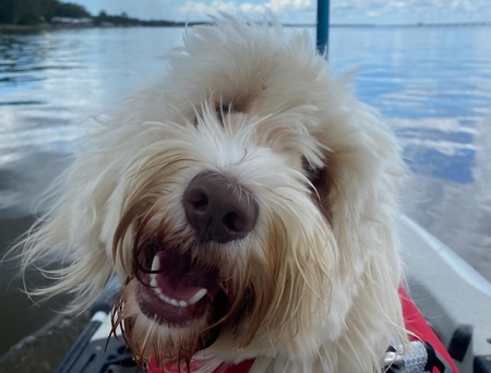 Sammie