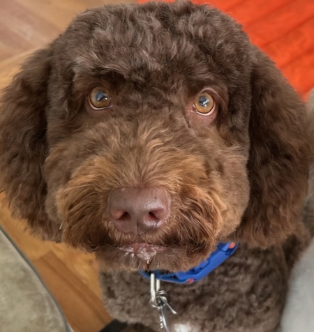 Murphy