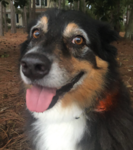 Redd
