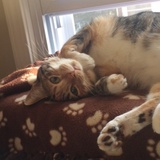 Entry image for Minnie