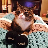 Entry image for Jerico