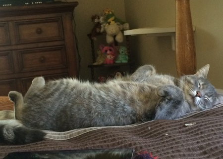 Entry image for Tom. Clicking this image will show a larger photo