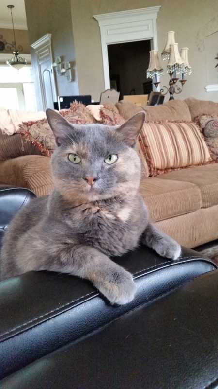 Entry image for Missey. Clicking this image will show a larger photo