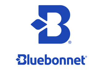 Bluebonnet