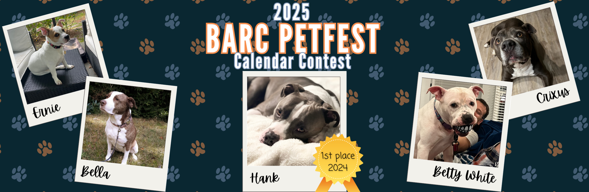 Bridgeport Animal Rescue Crew of Connecticut BARC 2025 Petfest