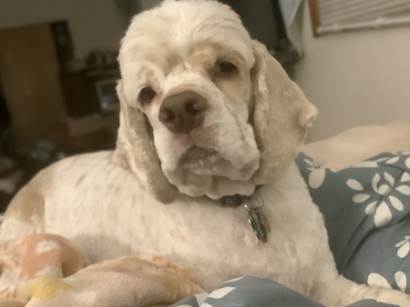 Charlie