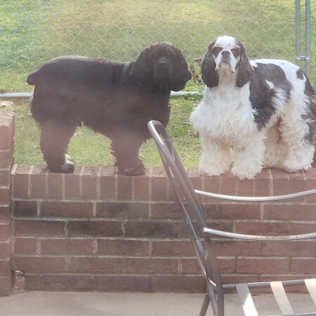 Jesse and Roscoe