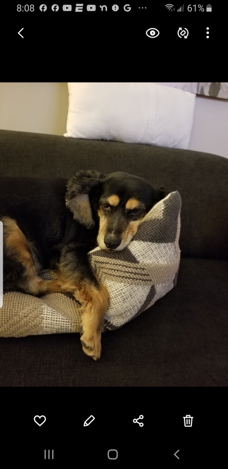 Jax