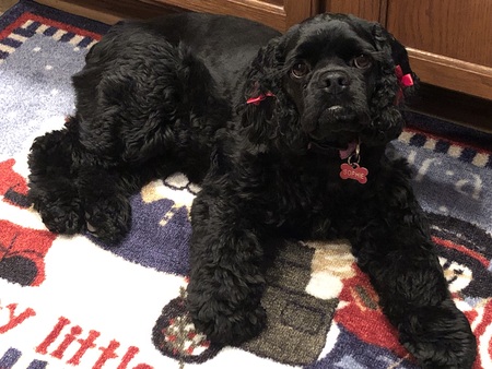 Sophie