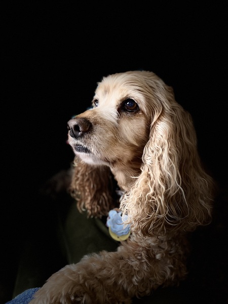 Jax