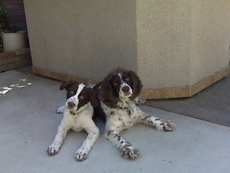 Buster and Kacy May