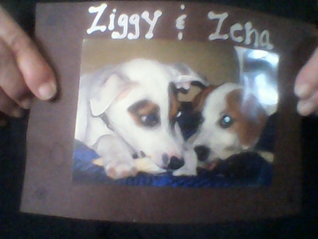 ziggy and zena