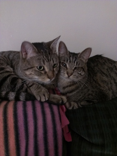 Mostar & Mia