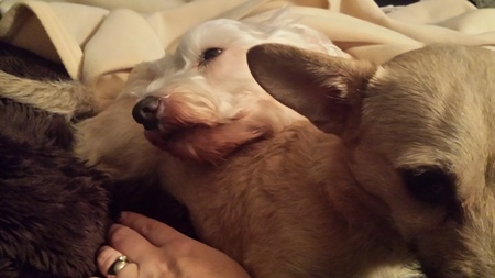 Gracie and Phoebe