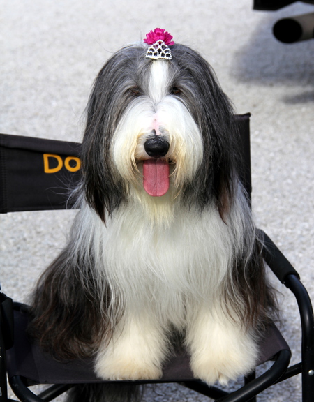 Stella