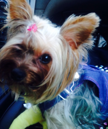 Lucky Lady Bella