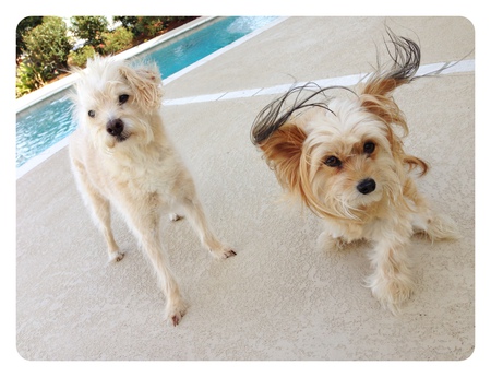 Jeanie & Jack