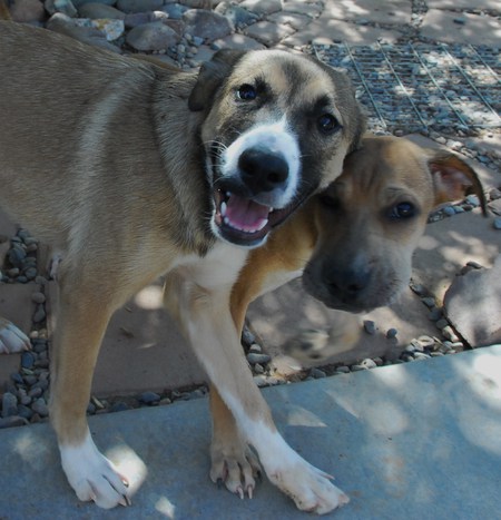 Rakhi & Tika