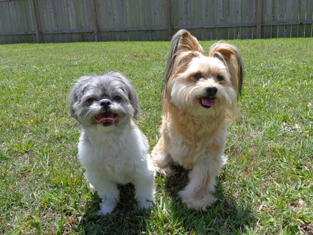 Jeanie & Harlow