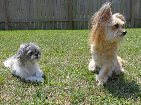 Jeanie & Harlow