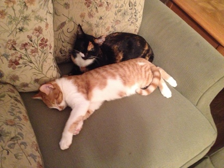 Mable and mufasa 