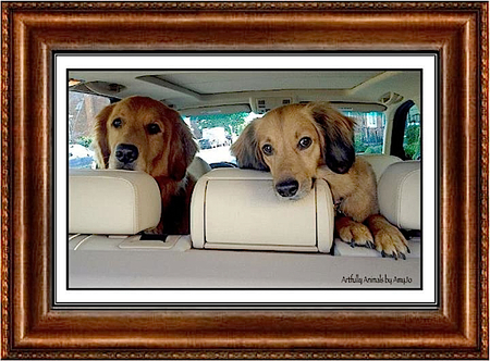 Oakley and Hope