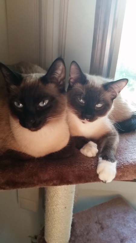 Tipper & Kiki