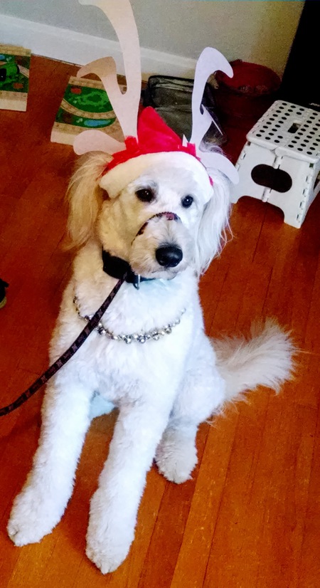 Cooper