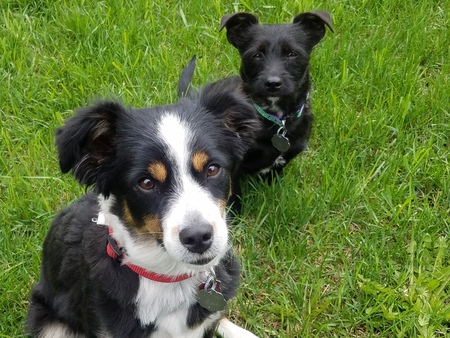 Zeba and Skeeter