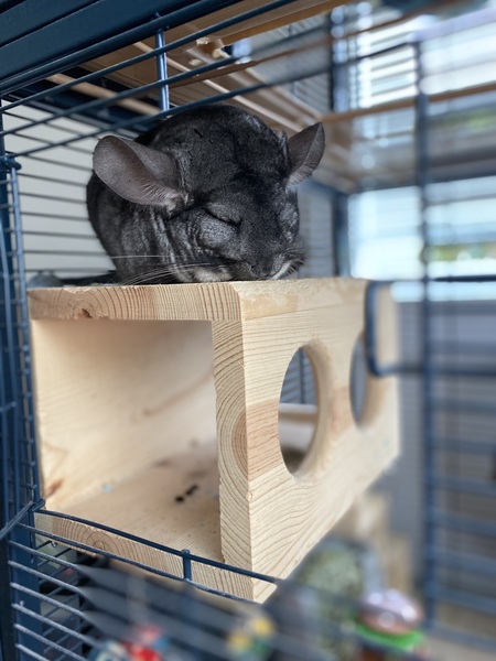 Isla