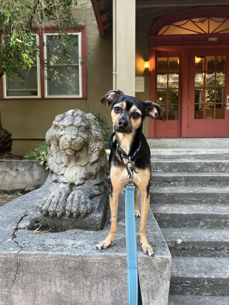 Milo