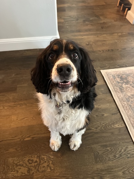 Penny