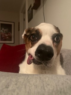 Max