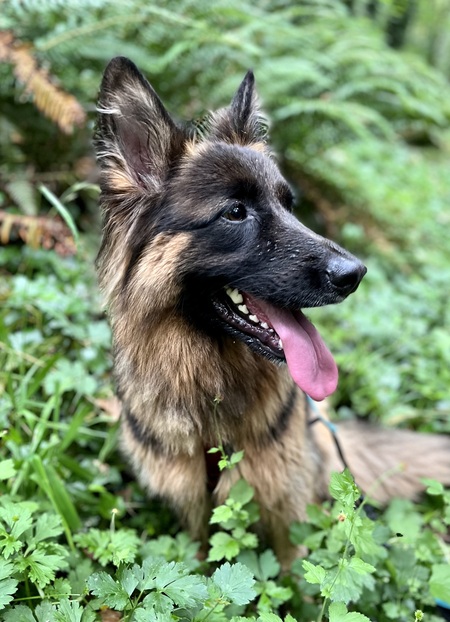 Lucy
