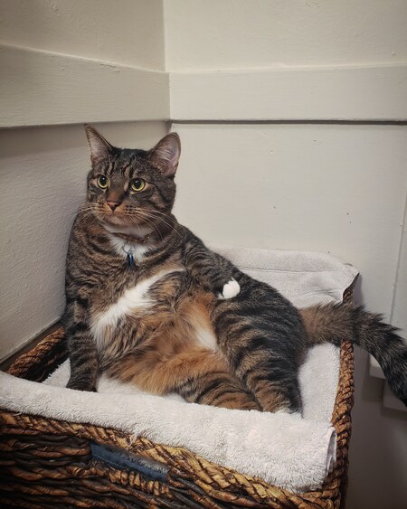 Fergus