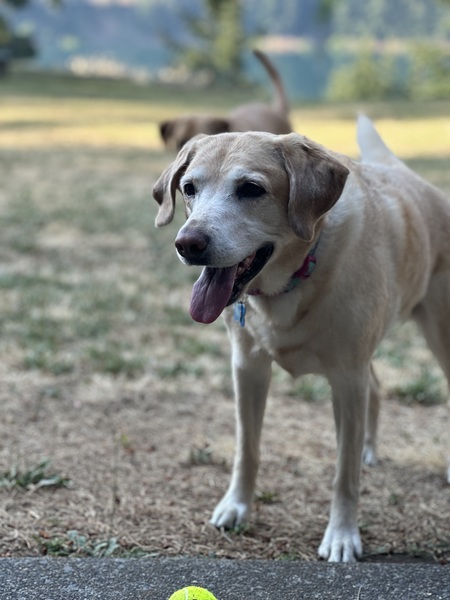 Winnie