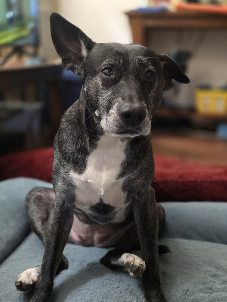 Gabby