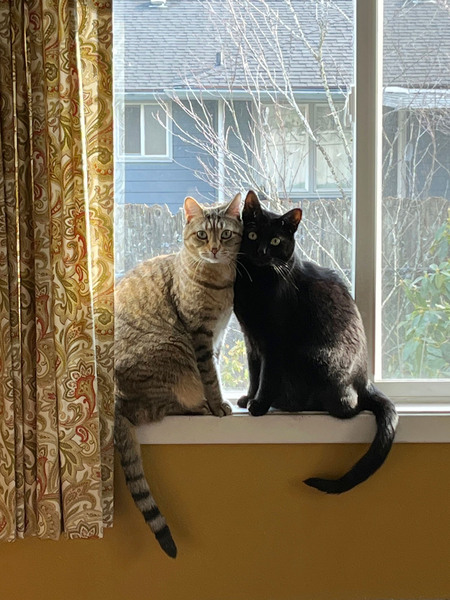 Maggie & Abacus (l to r)