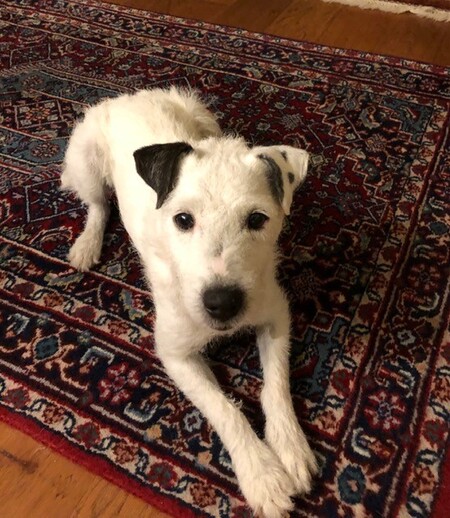 Patch