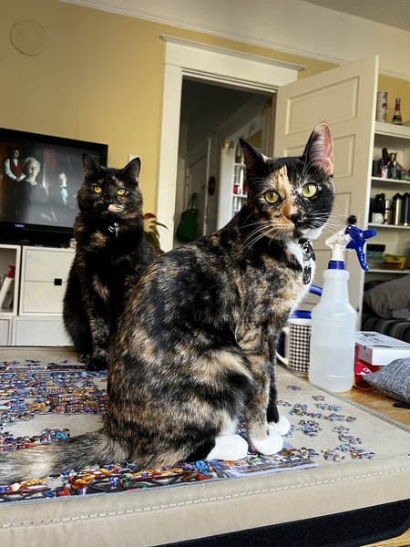 Ramona and Beezus