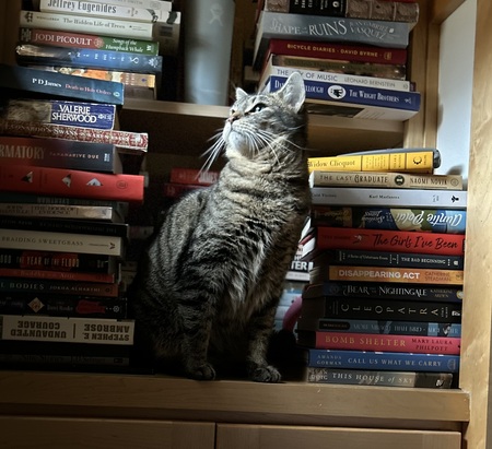 Cleo