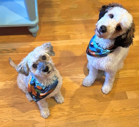 Pete and Skipper