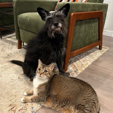 Gustavo & Sophia