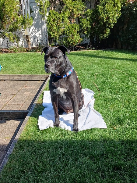 Winston