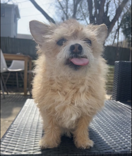 Bub