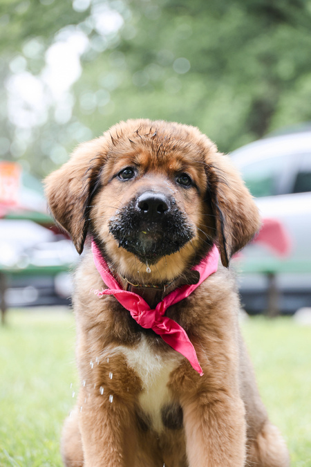 Dora