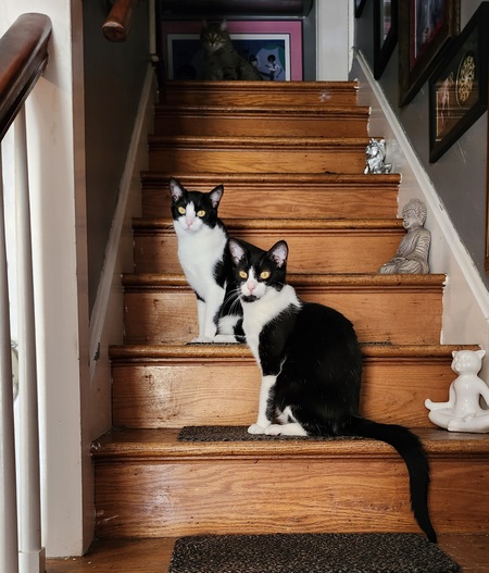 Bessie Bella and Dewey ("Going up!")
