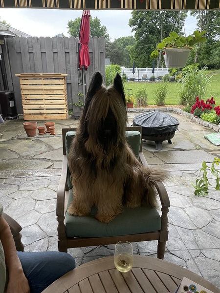 Beauregard 
