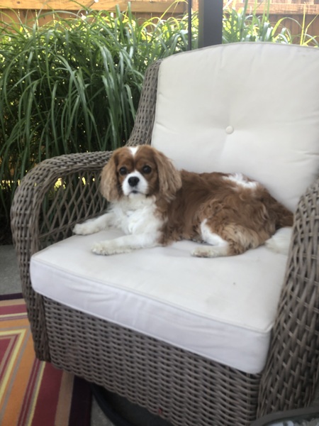 PENNY